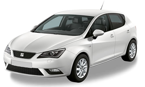 Seat Ibiza 6J 2008-2017